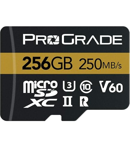 Amazon.com: Delkin Devices Power 256GB MicroSD UHS-II (V90